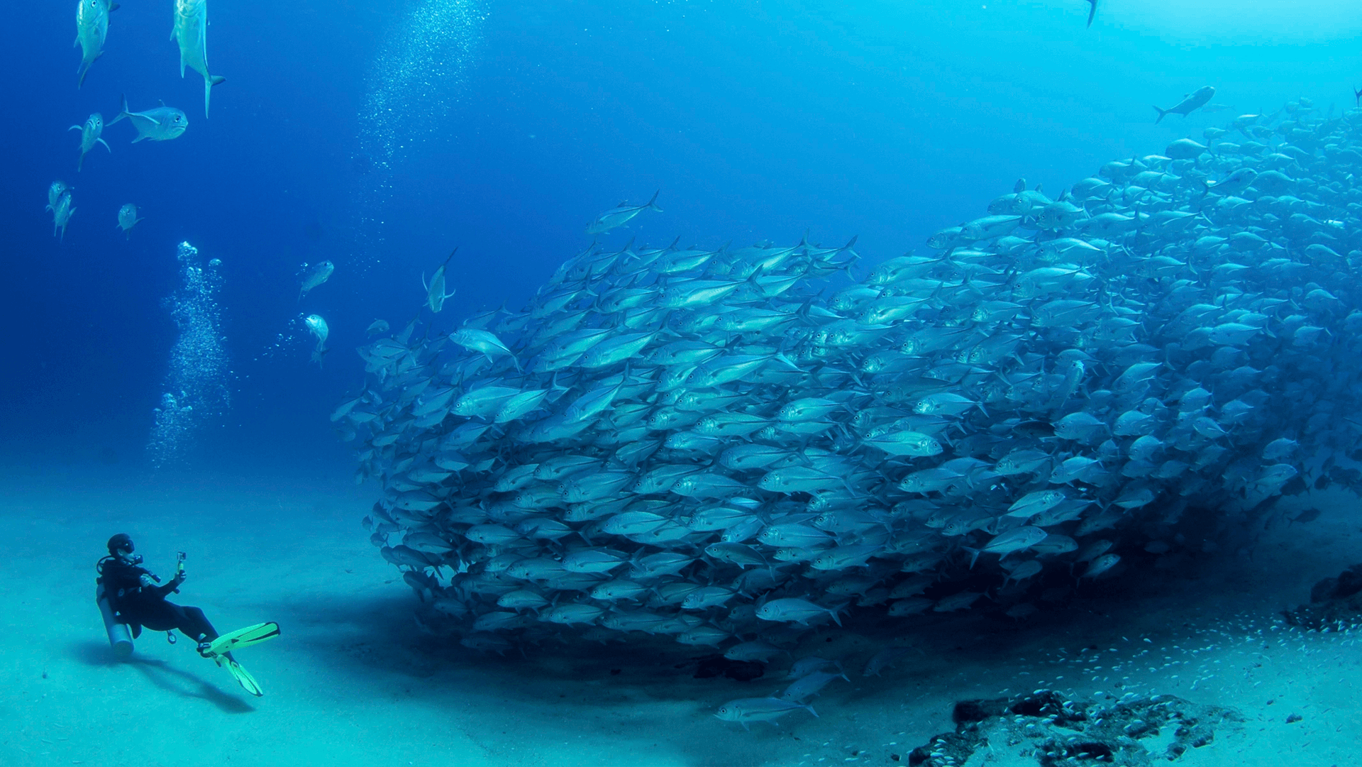 Buceo en Cabo Pulmo