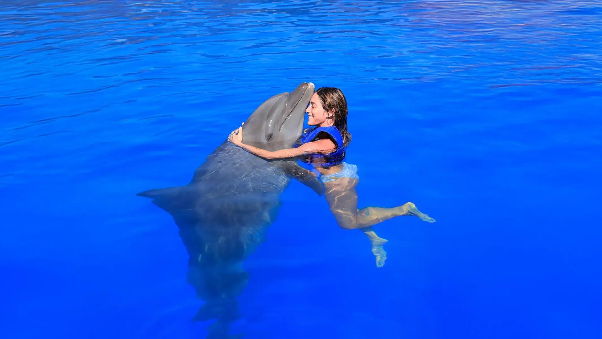 Premium Cabo Swim with Dolphins