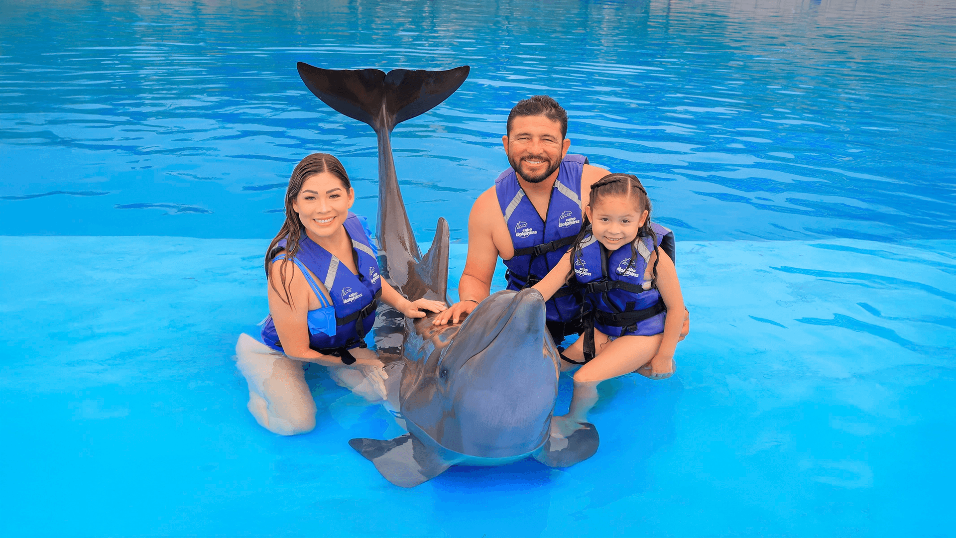 Family Cabo Dolphin Encounter